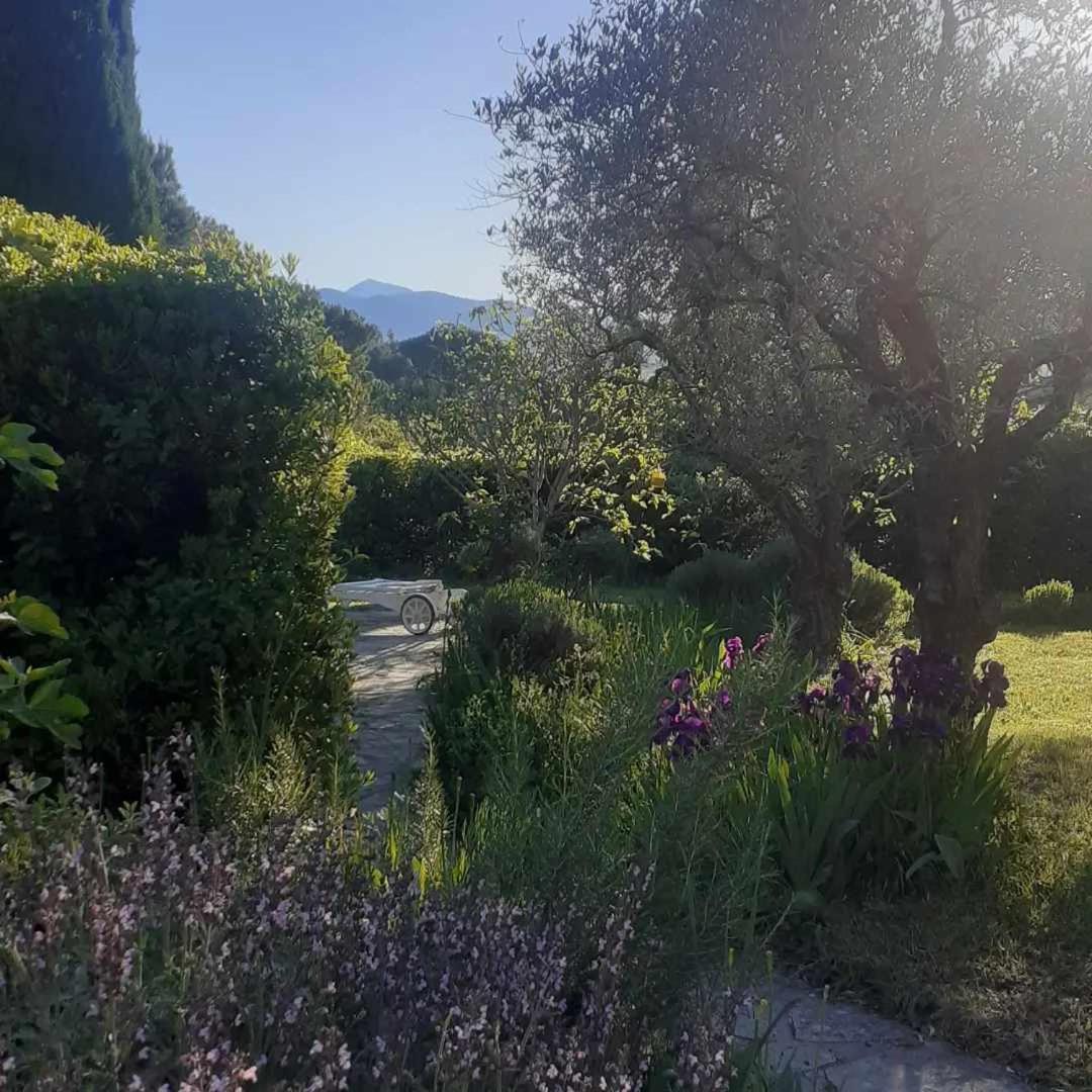 Les Verveines De Vaison Εξωτερικό φωτογραφία