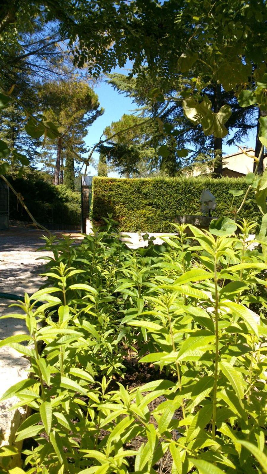 Les Verveines De Vaison Εξωτερικό φωτογραφία
